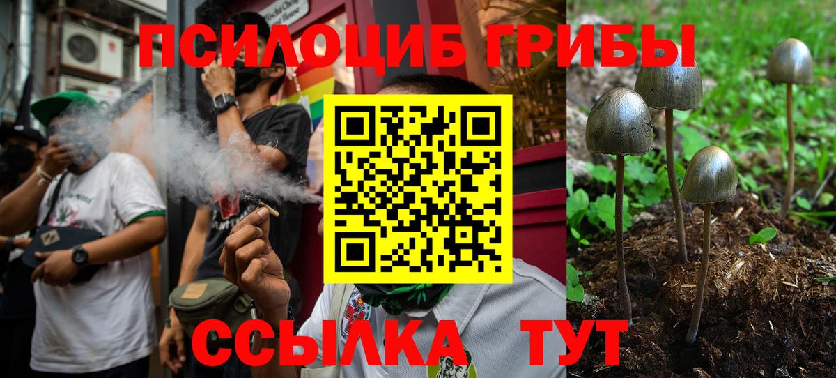 Псилоцибиновые грибы GOLDEN TEACHER Каменск-Уральский