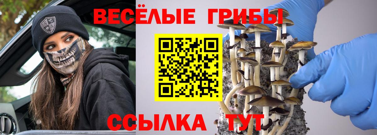 Псилоцибиновые грибы MAGIC MUSHROOMS  Вход с VPN  Каменск-Уральский 